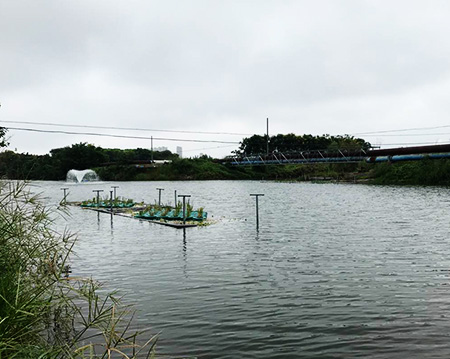 未標(biāo)題-黑偉黑偉沉水式風(fēng)機(jī)使用方便噪音小！