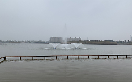黑偉沉水羅茨風機在曝氣系統中的優勢 黑偉沉水羅茨風機在曝氣系統中的優勢